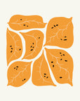Dumplings No.13