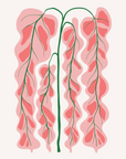 Tropical Blooms No.29