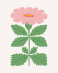 Tropical Blooms No.55