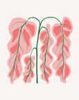 Tropical Blooms No.56