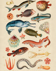 Sea Creatures No.41