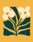 Flora Nouveau No.82